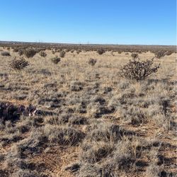 Rio Rancho Estates