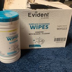 Case Of 6 Disinfectant Wipes