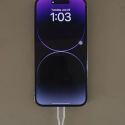 iPhone 14 Pro Max Purple