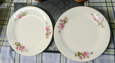 Moss 🌹 roses fine China Dinner plates