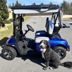 2022 Blue EZGO Electric Cart