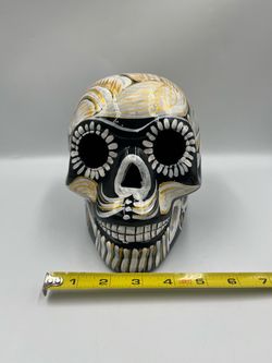Skull Ceramic Skeleton 💀