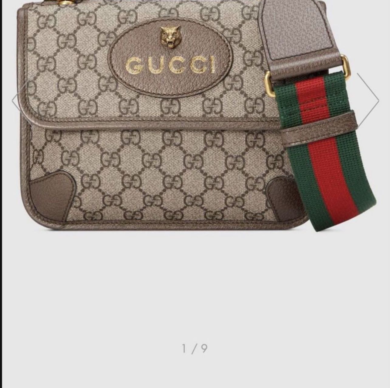 Gucci Bag Looks New 