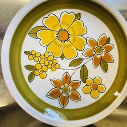 Mikasa Cera-Stone Awake D-1451 Plate Set 22 PCs