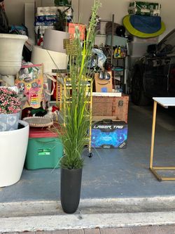 Artificial 5 ft Grass Plant in Black Planter 5 inches diameter