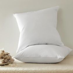 Sleep Zone Throw Pillows (Set Of 2 Pillows)