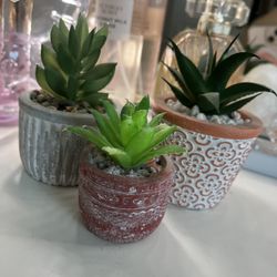 Tiny Set Of Fake Pot Plants
