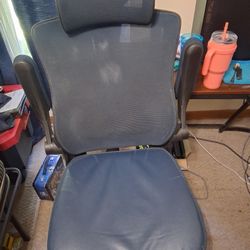 Computer Chair With lower Back Support