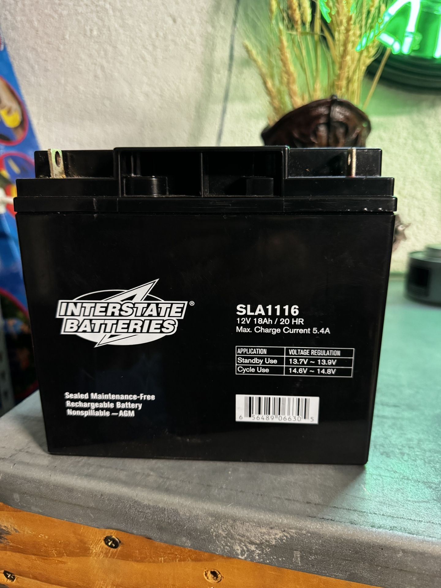 Interstate battery SLA1116 12V