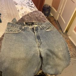 Levi SilverTab Loose Fit