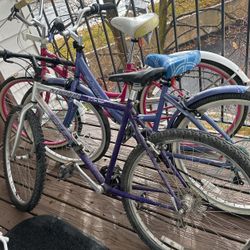 Bikes Cruise And Mountain