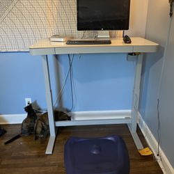Mac Mini and full WFH setup with adjustable electric standing desk