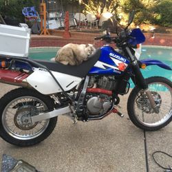 Suzuki Dr650
