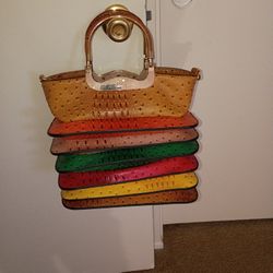 Ostrich Crock Multi Accordion Top Handle Purse