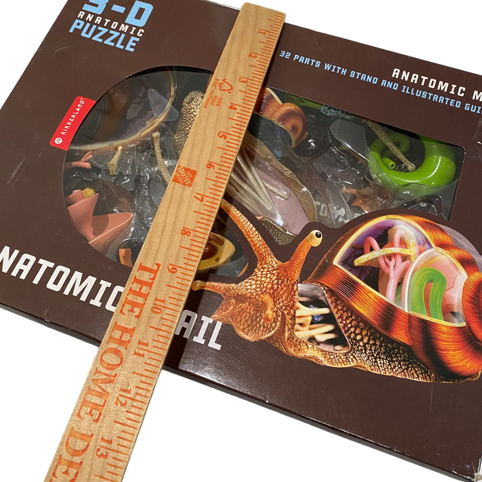 4D Master Vision Snail Educational Toy Puzzle Anatomic Stem 3-D