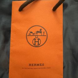 Hermes Silk Twilly 