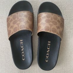 coach Slides