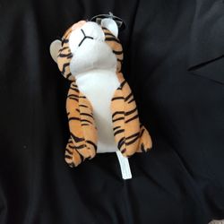 Adorable Little Tiger