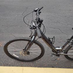 Trek Verve 1