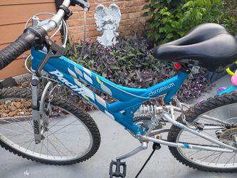 Two large bikes and one small bike asking $70 for all