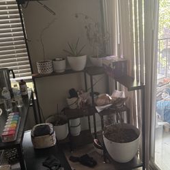 Plant Stand And Planters