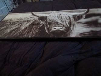 Black and white canvas