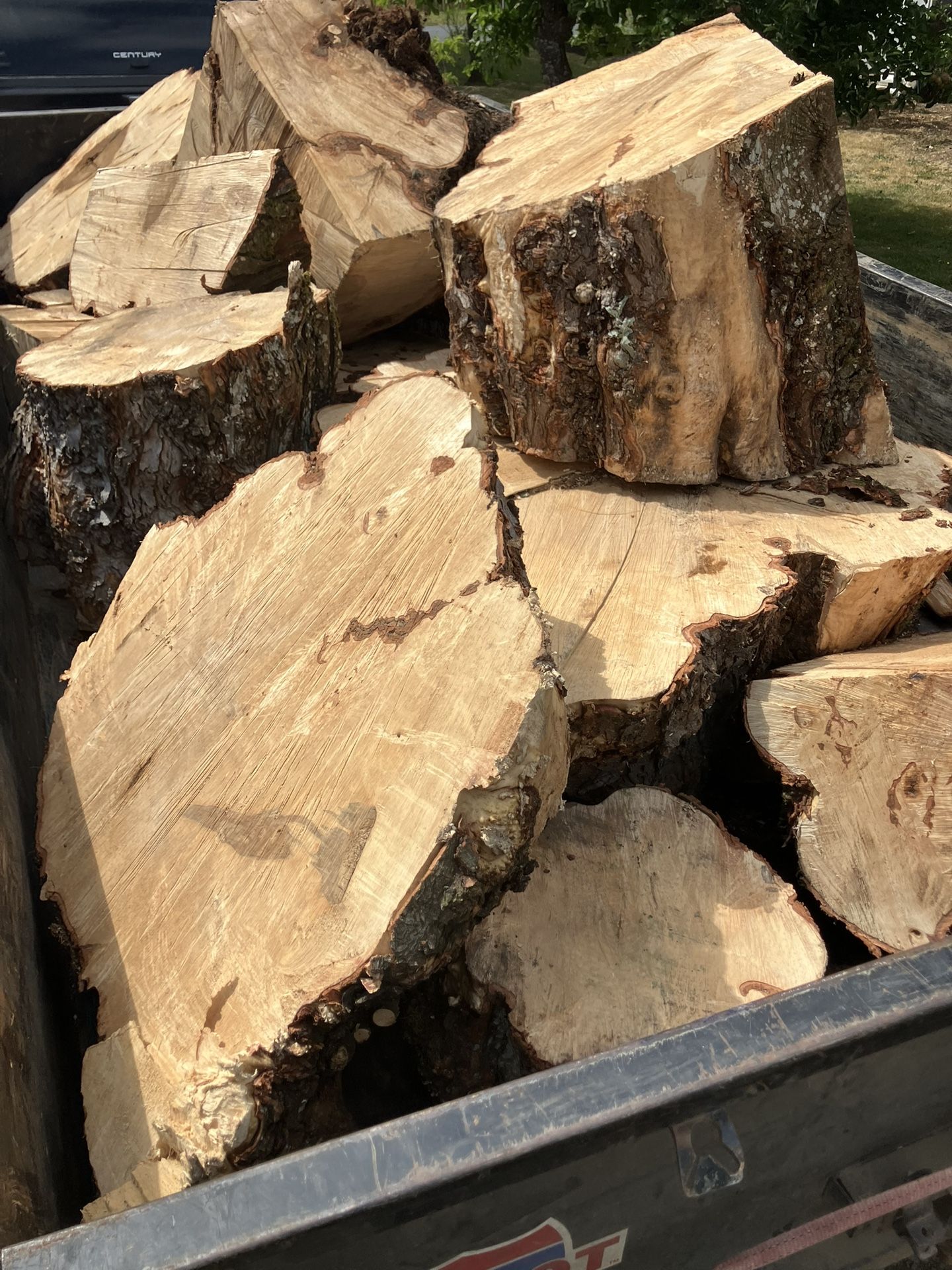 Free Firewood
