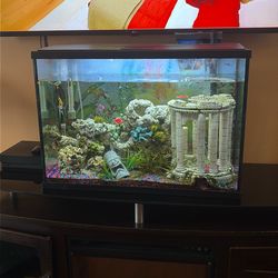 Fish Tank With Fishes