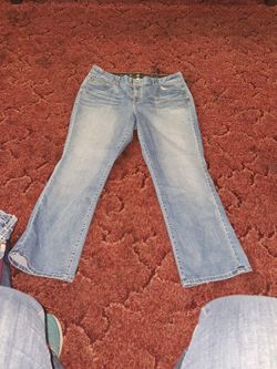 Lane Bryant Jean's