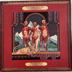 Kantner Slick Freiberg