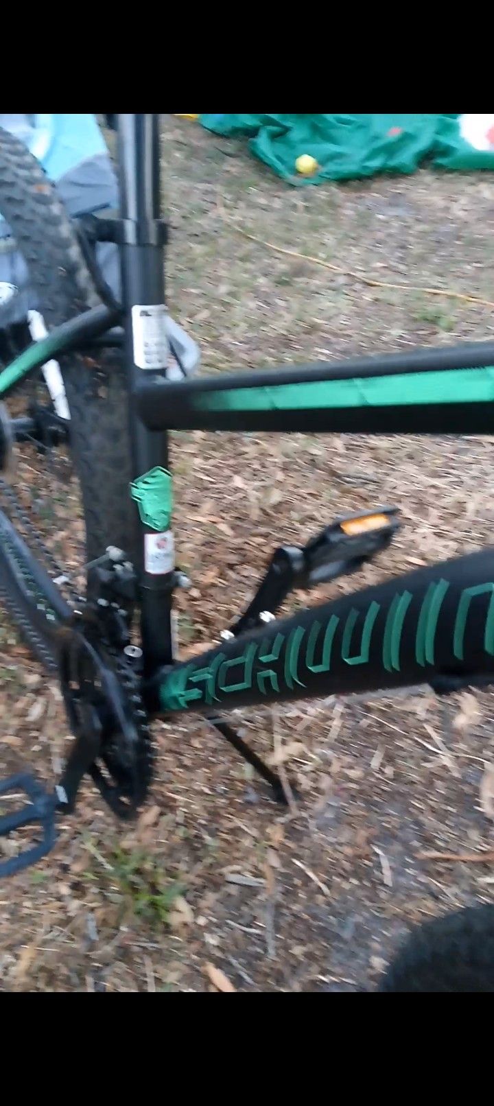 Bike And Trailer