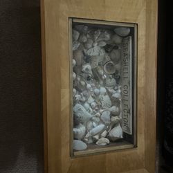 Shadowbox End Table, Coffee Table Filled With Seashells And Sand Dollars