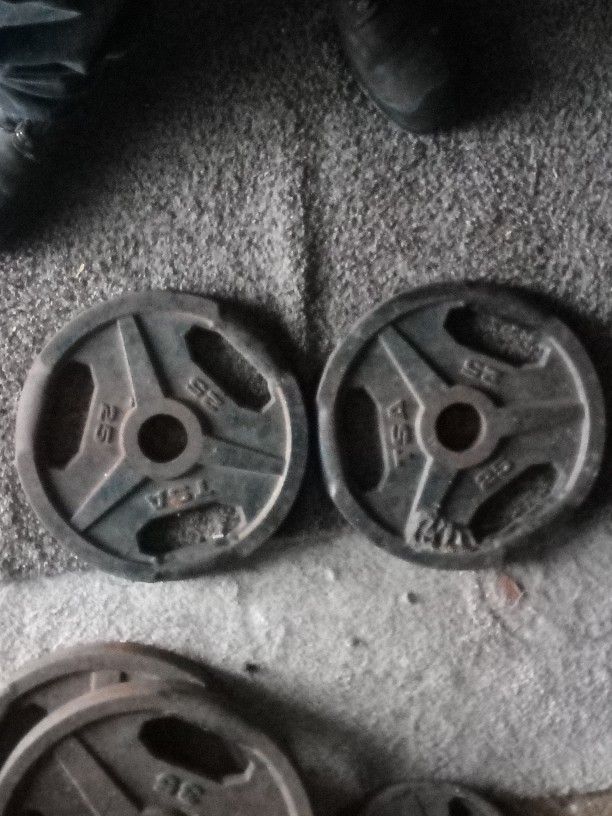 TSA 25 Lbs Weight Plates