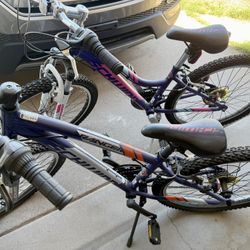 24 Inch Schwinn Ranger Mountain Bikes