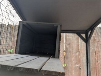 Catio