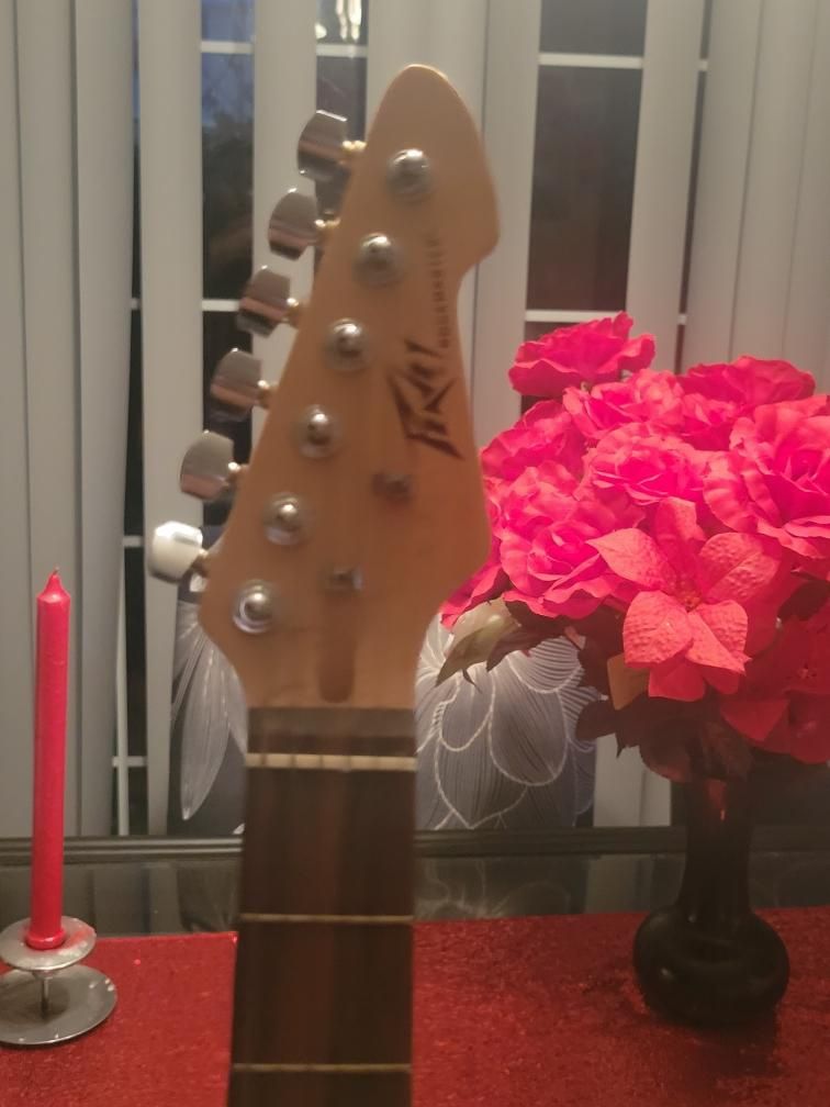 Guitar