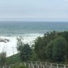 Mare