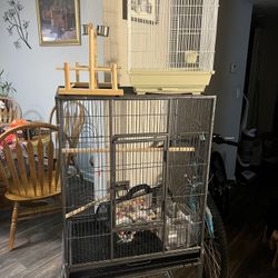 Bird Cages, Toys And Stands, Play Gym, Carrier, Extra Cage