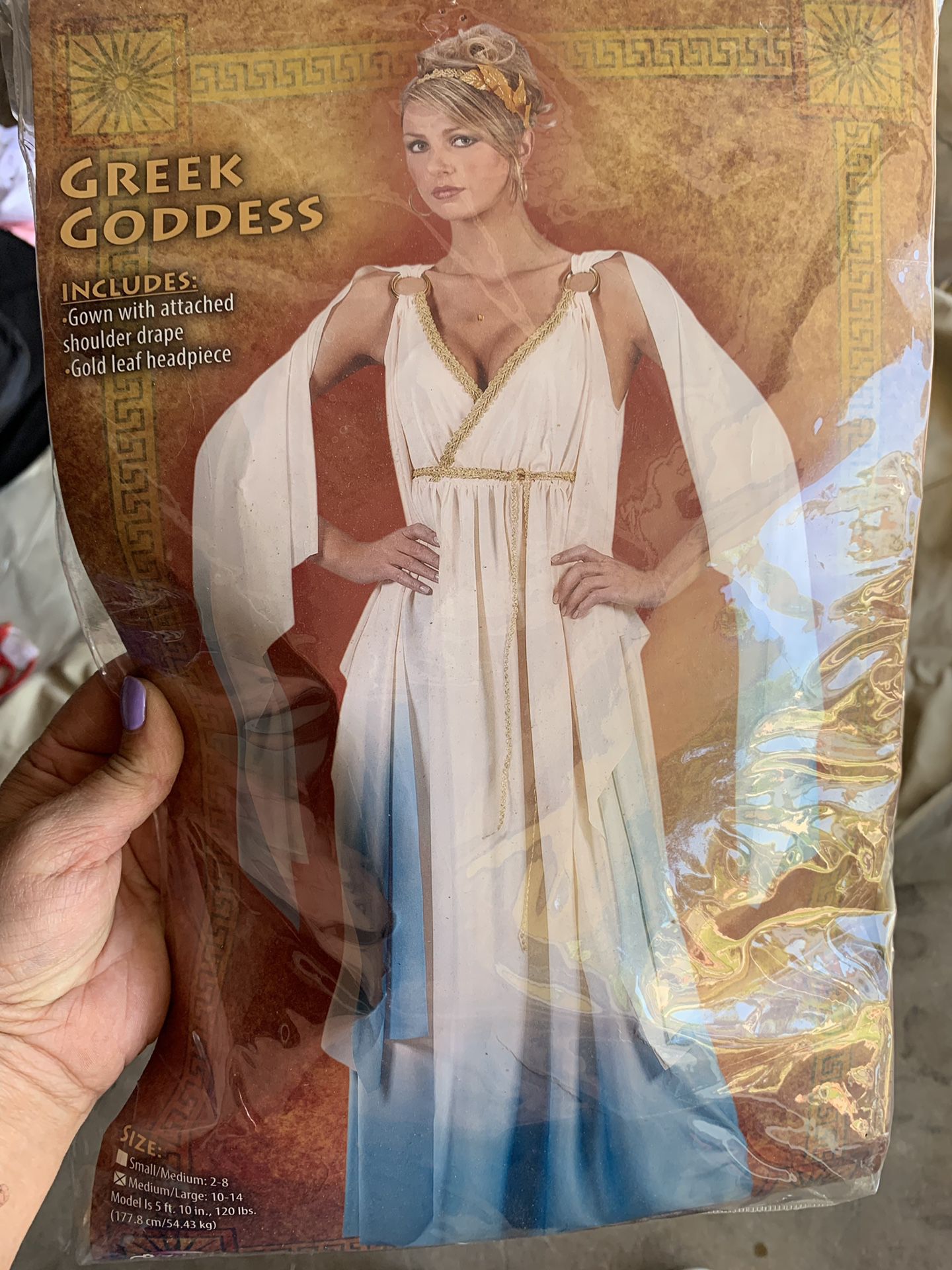 Costume Greek Goddess