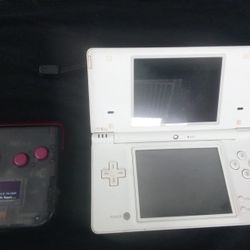 Nintendo DSI & Nintendo Flask Cart