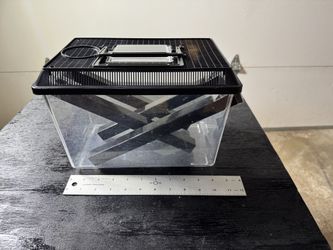 Reptile Supplies - Lg Cricket Container