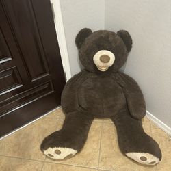 Extra Large Teddy bear