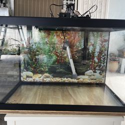 20 Gallon Fish Tank