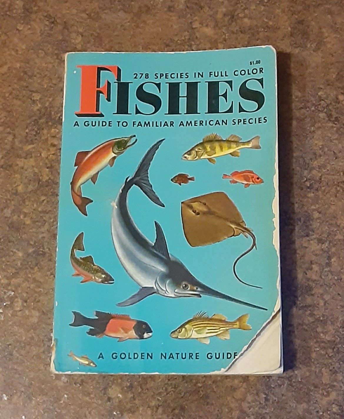 Vintage 1955 Fishes Miniature Softcover Children's Book