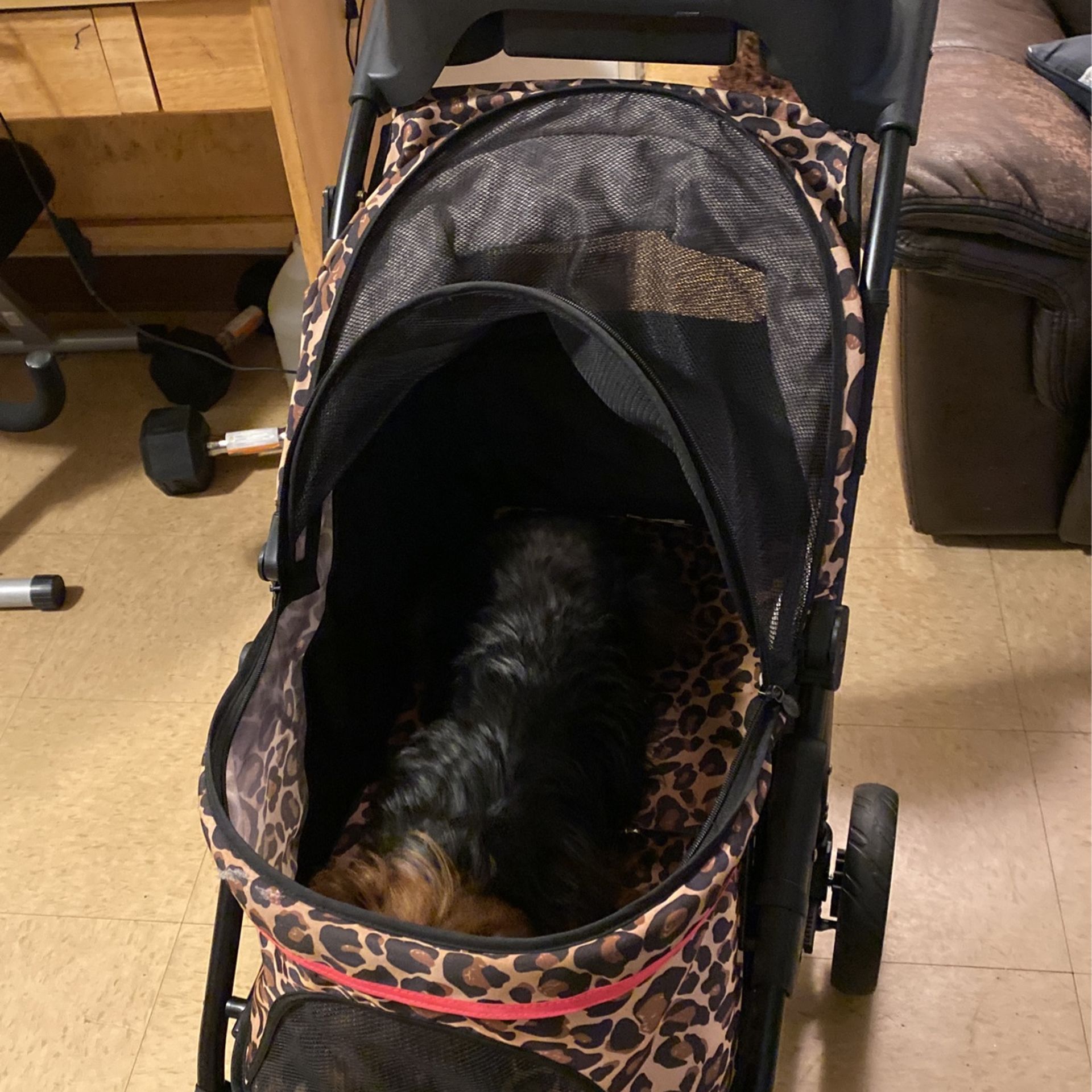 Dog Stroller
