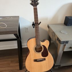 Acoustic Guitar 