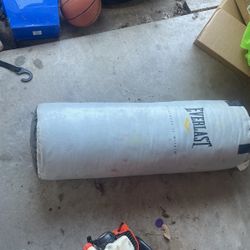 Everlast Punching Bag 