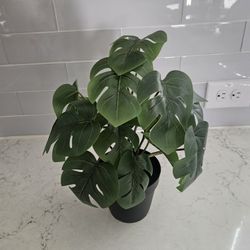 Small Faux Plant