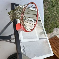 Lifetime In Ground Basketball Hoop