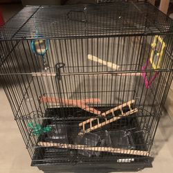 Bird Cage